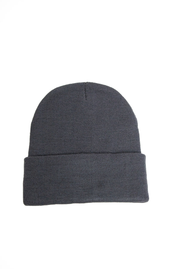 "TRUTH" BEANIE - GREY